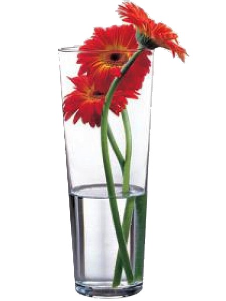 Ваза 260мм FLORA 43177_1