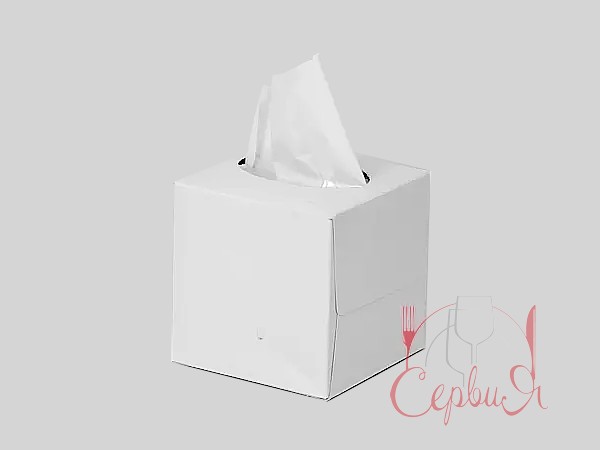 Серветка косметична двошарова біла 80шт в боксі куб PRO43106800_2