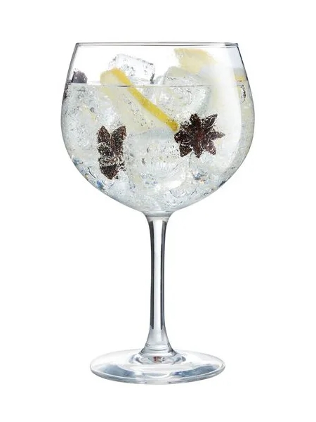 Бокал для коктейлю Gin&Tonic 700мл Vina Juliette N2760_1