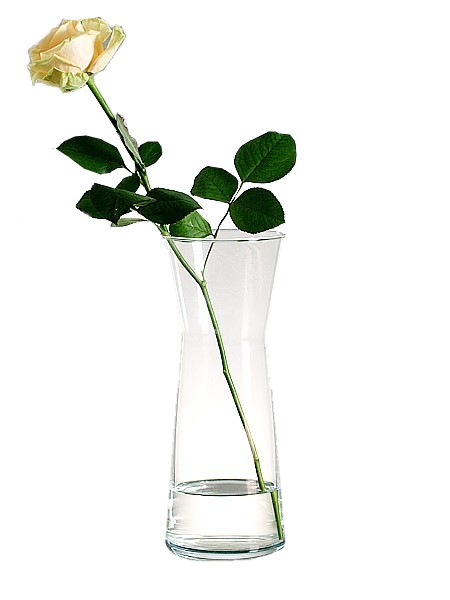 Ваза для цветов 260мм FLORA 43526_1