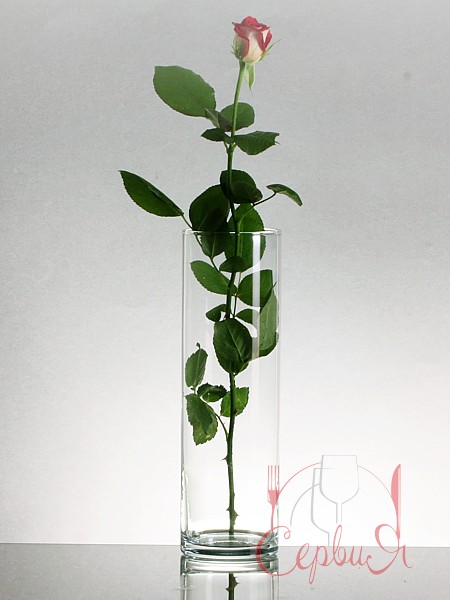 Ваза для цветов 300мм FLORA 43896_3