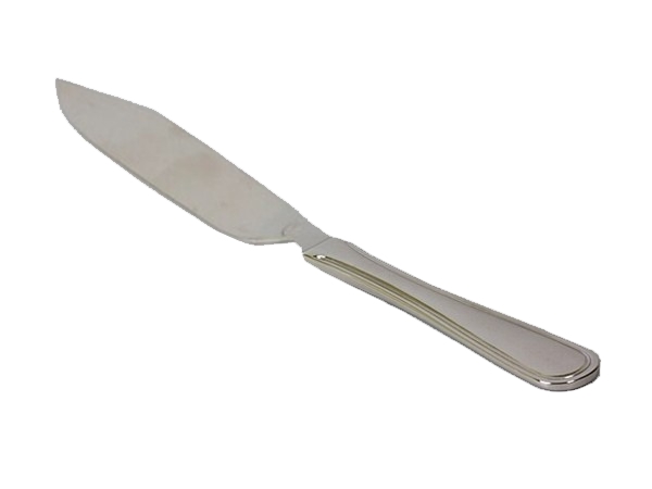 Ніж для риби 1670-17 Anser Eternum_1