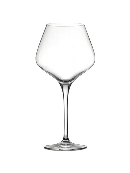 Келих для вина 450мл N4743 Sublym Ballon_1