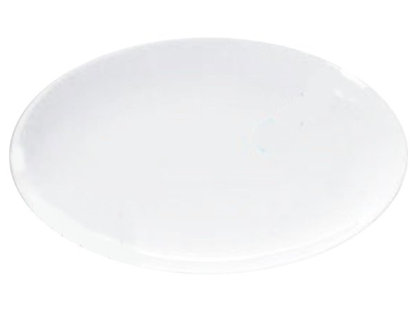 Блюдо овальне 310х220мм А0788 Riwall_1