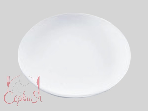 Тарілка дрібна д.260мм А0019 Riwall_2