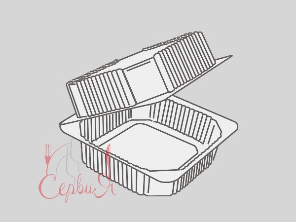 Контейнер 155х150х80мм ПС-11 10шт_2