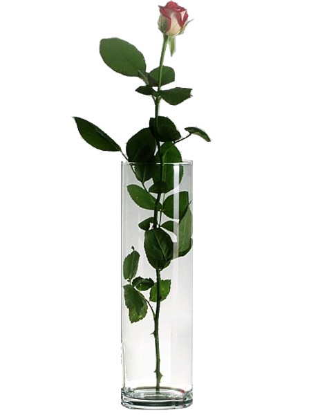 Ваза для цветов 300мм FLORA 43896_1