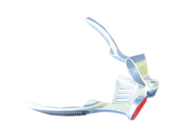 Часничниця на планшетці 18705_1