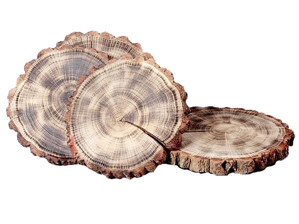 Спіл дерев'яний з випалом  д.23-25см_1