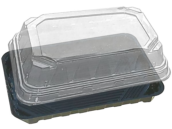 Контейнер HF64 PET 220х147х42мм д/суши чорний з прозор.кришкою 16053/16052_1