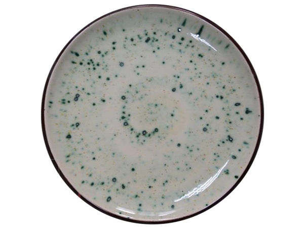 Тарілка кругла плітка 26см Гансеб 2026_1