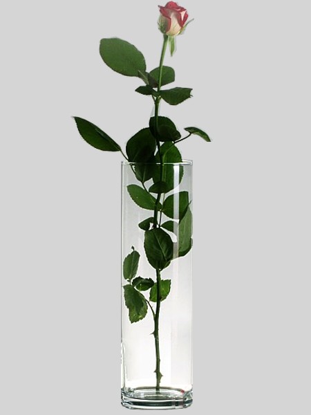 Ваза для цветов 300мм FLORA 43896_2