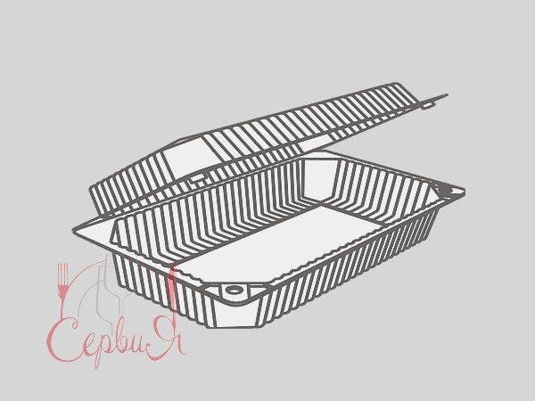 Контейнер 230х130х72мм ПС-121 10шт_2