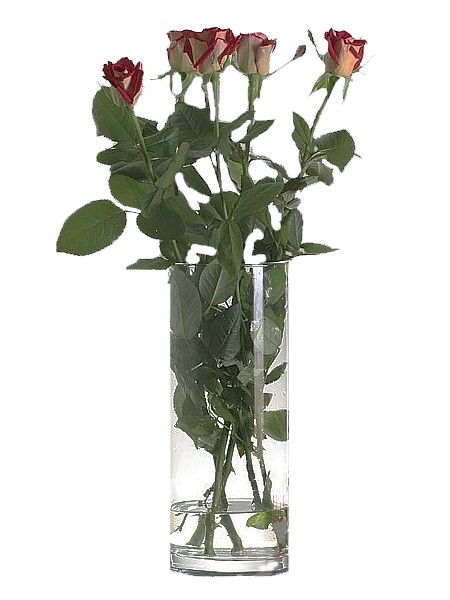 Ваза  для квітів 300мм FLORA 43856_1