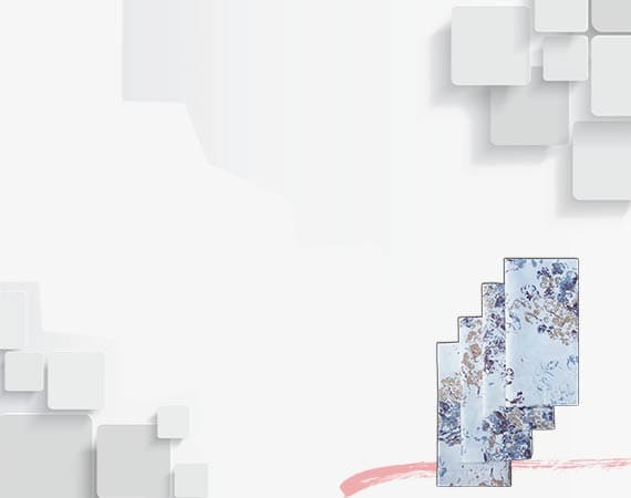 Скатертини паперові та поліетиленові