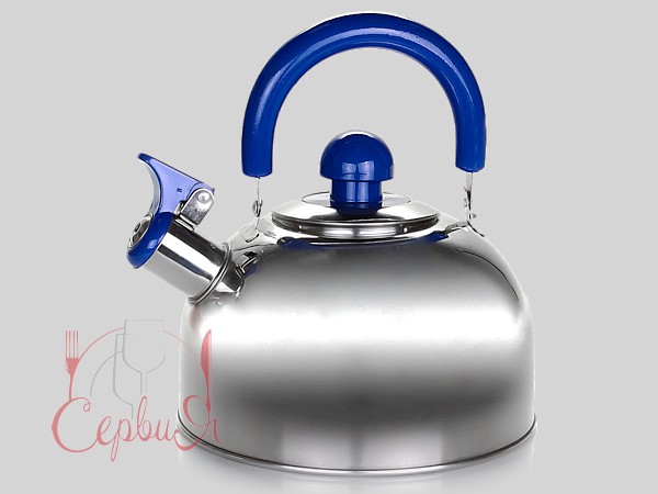 Чайник нерж.Aires 2.5л 3574 Vincent_2