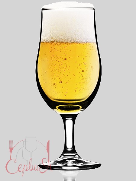 Келих для пива 600мл DRAFT 440244_2