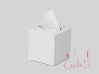 Серветка косметична двошарова біла 80шт в боксі куб PRO43106800_thumbnail