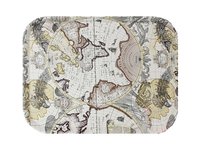 Піднос нековзний 35х45см Глобус_thumbnail