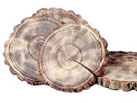 Спіл дерев'яний з випалом 29-31см_thumbnail