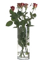 Ваза  для квітів 300мм FLORA 43856_thumbnail