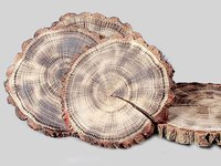 Спіл дерев'яний з випалом 29-31см_thumbnail