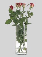 Ваза  для квітів 300мм FLORA 43856_thumbnail